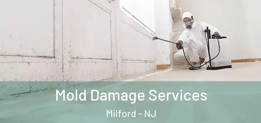  Mold Damage Services Milford - NJ