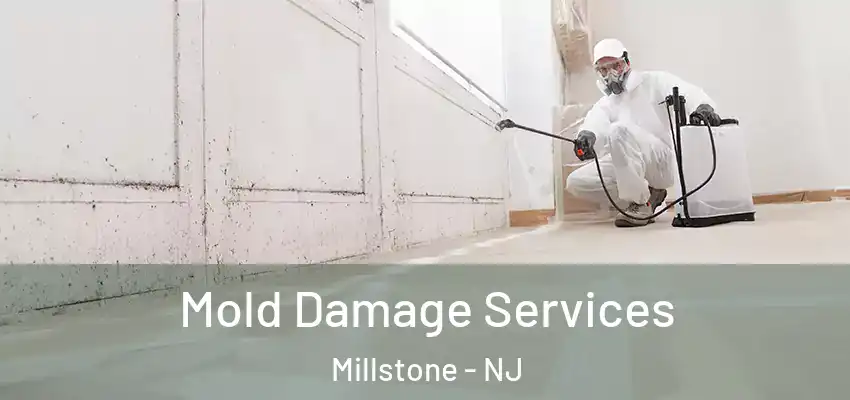  Mold Damage Services Millstone - NJ