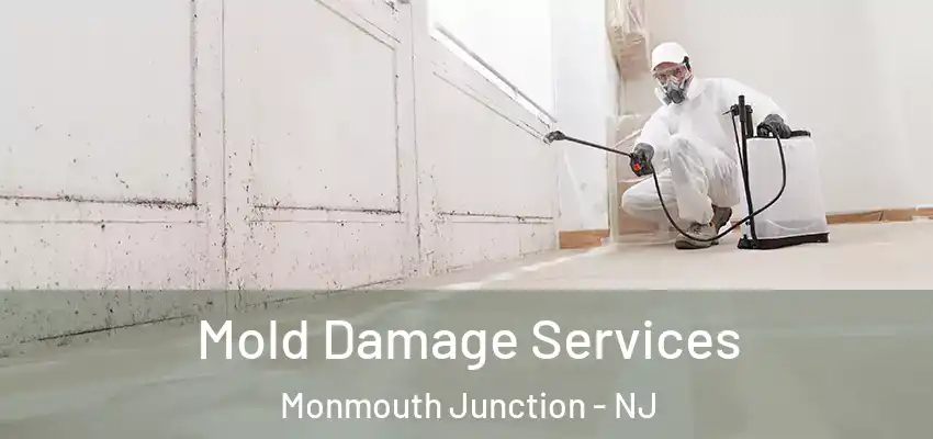  Mold Damage Services Monmouth Junction - NJ