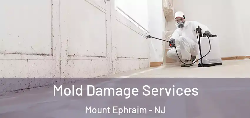  Mold Damage Services Mount Ephraim - NJ