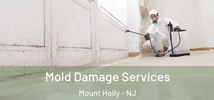 Mold Damage Services Mount Holly - NJ