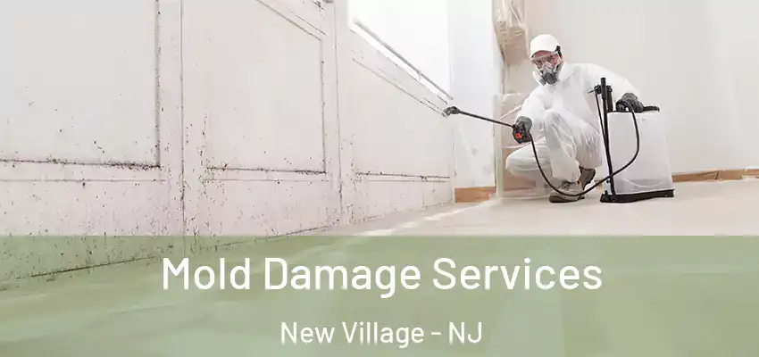  Mold Damage Services New Village - NJ