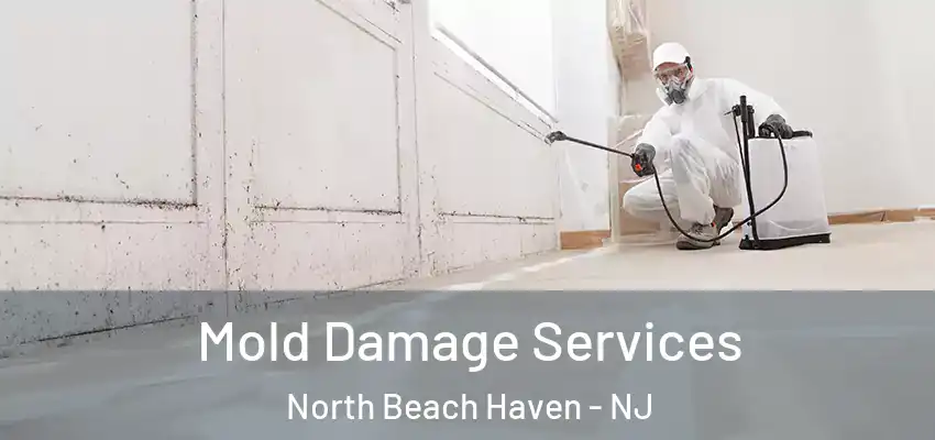  Mold Damage Services North Beach Haven - NJ