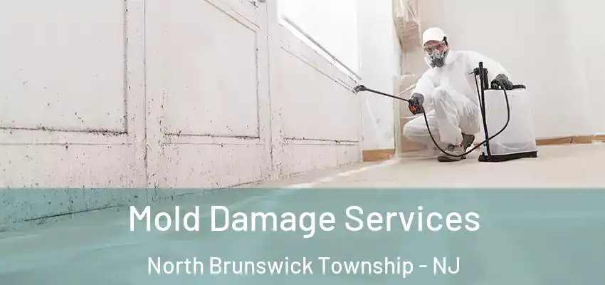  Mold Damage Services North Brunswick Township - NJ