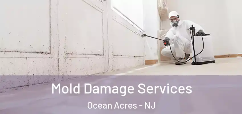 Mold Damage Services Ocean Acres - NJ