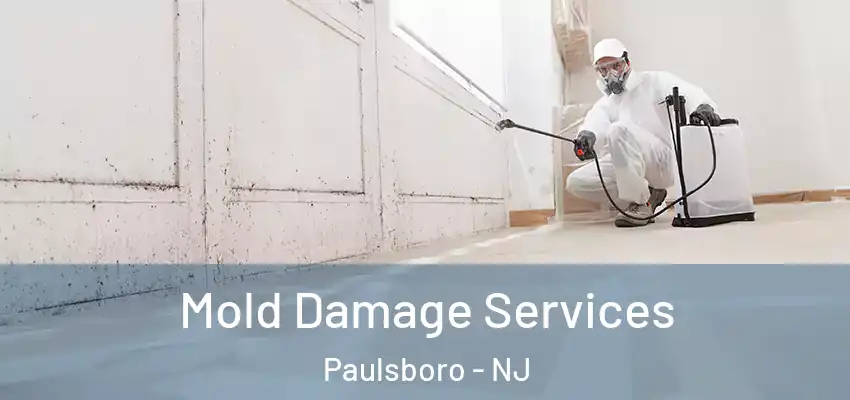 Mold Damage Services Paulsboro - NJ