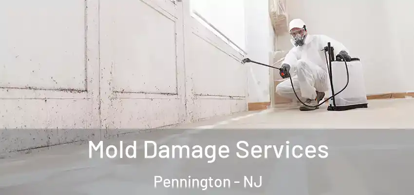  Mold Damage Services Pennington - NJ