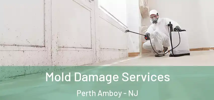  Mold Damage Services Perth Amboy - NJ