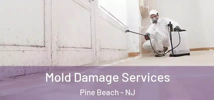  Mold Damage Services Pine Beach - NJ