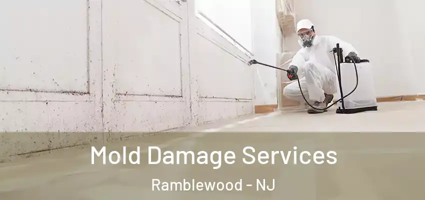  Mold Damage Services Ramblewood - NJ