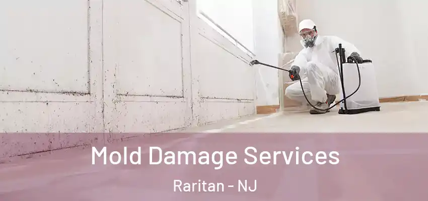  Mold Damage Services Raritan - NJ
