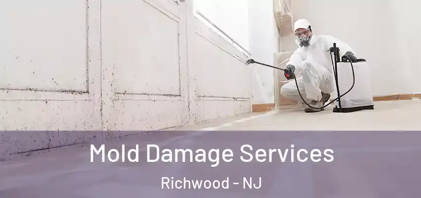 Mold Damage Services Richwood - NJ