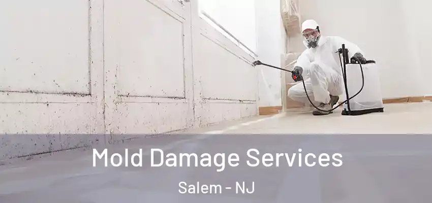  Mold Damage Services Salem - NJ