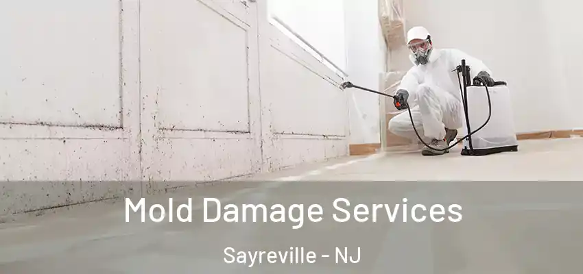 Mold Damage Services Sayreville - NJ