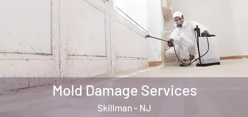  Mold Damage Services Skillman - NJ