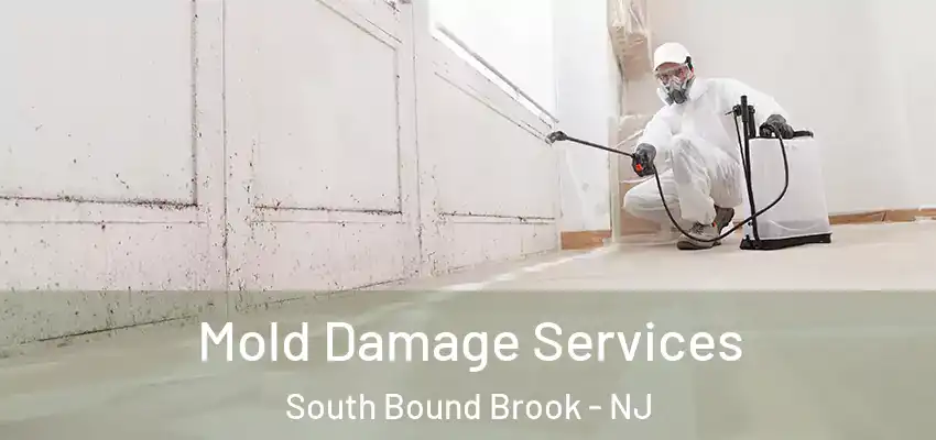  Mold Damage Services South Bound Brook - NJ