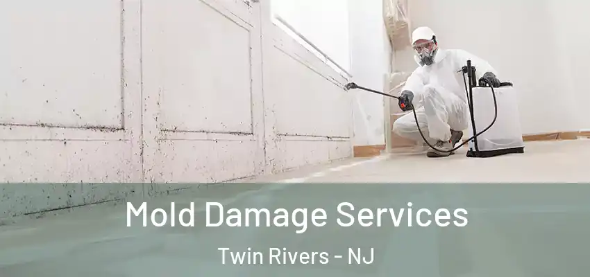  Mold Damage Services Twin Rivers - NJ