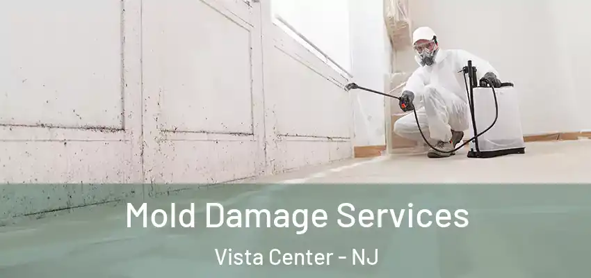 Mold Damage Services Vista Center - NJ