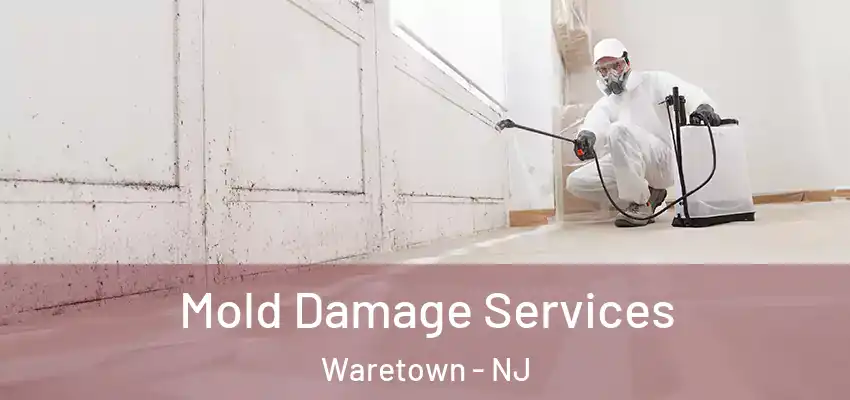  Mold Damage Services Waretown - NJ