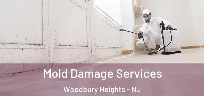 Mold Damage Services Woodbury Heights - NJ