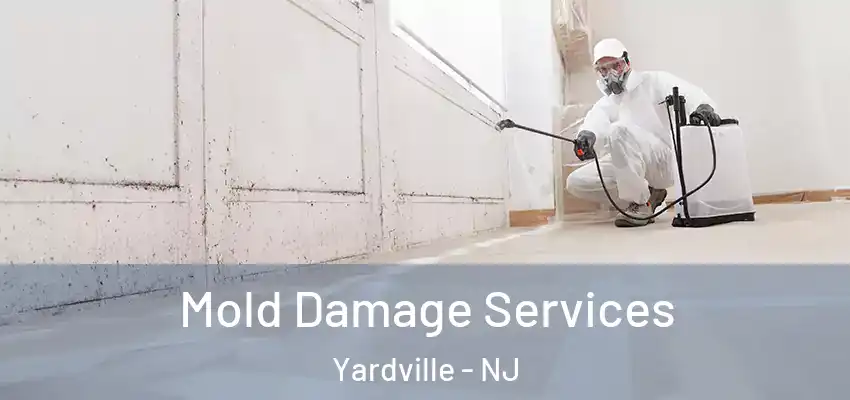 Mold Damage Services Yardville - NJ
