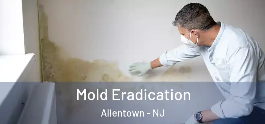  Mold Eradication Allentown - NJ