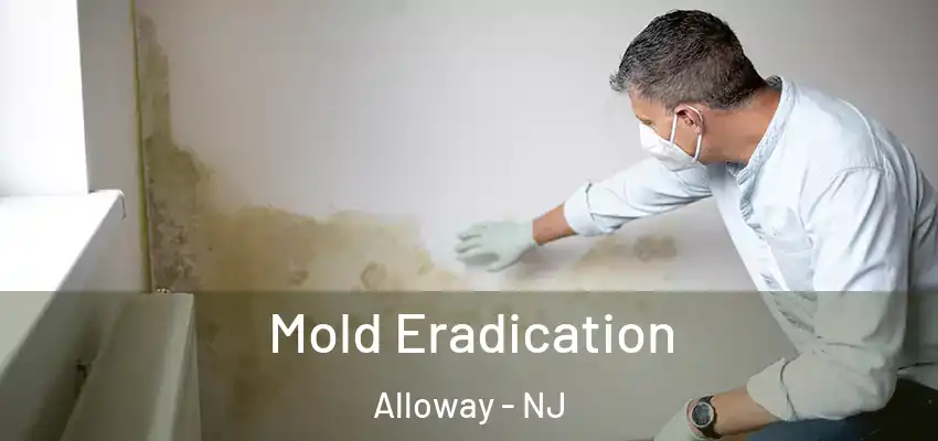 Mold Eradication Alloway - NJ