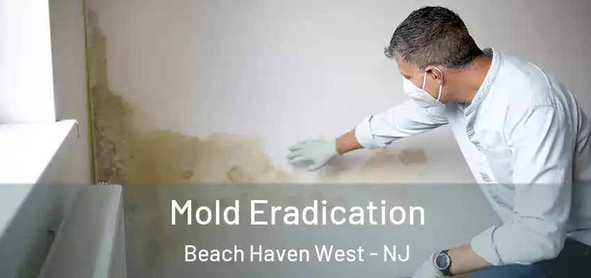 Mold Eradication Beach Haven West - NJ