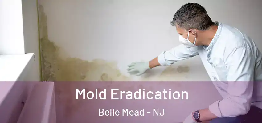 Mold Eradication Belle Mead - NJ