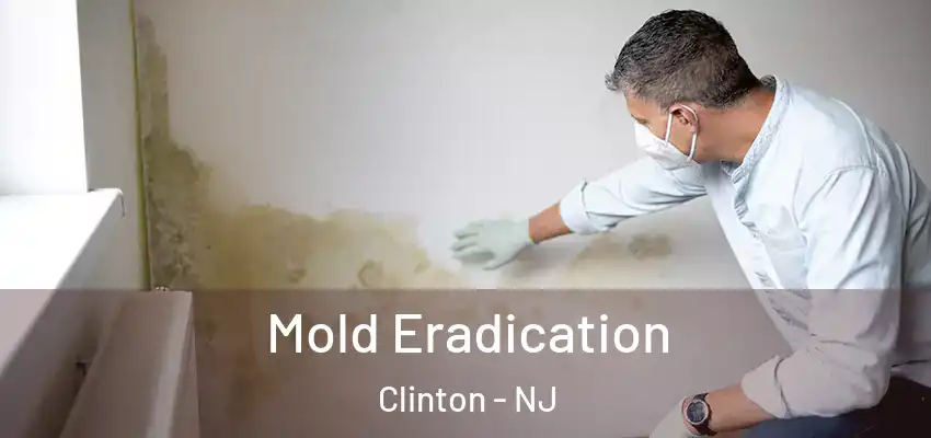 Mold Eradication Clinton - NJ