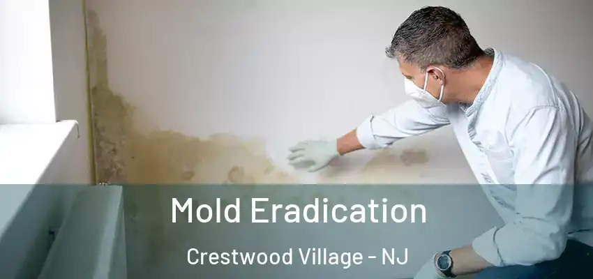  Mold Eradication Crestwood Village - NJ