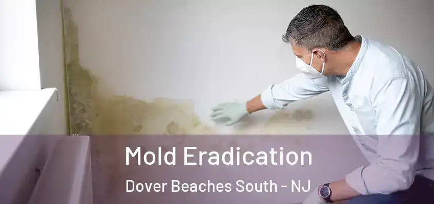  Mold Eradication Dover Beaches South - NJ