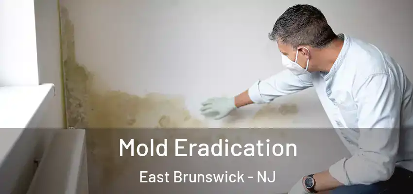  Mold Eradication East Brunswick - NJ