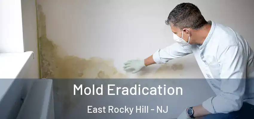  Mold Eradication East Rocky Hill - NJ