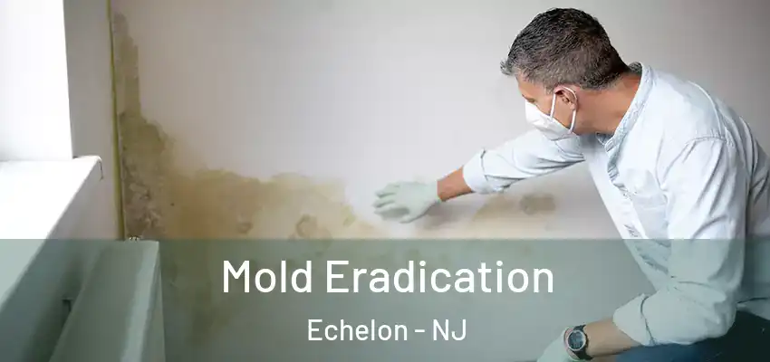  Mold Eradication Echelon - NJ