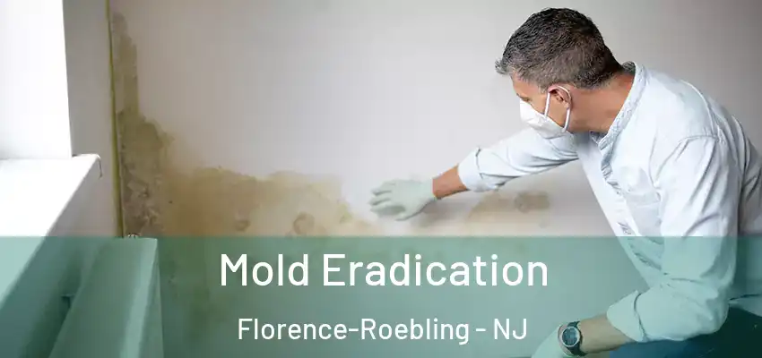  Mold Eradication Florence-Roebling - NJ