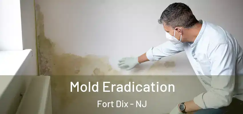  Mold Eradication Fort Dix - NJ