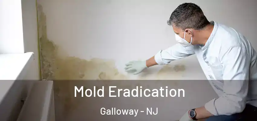 Mold Eradication Galloway - NJ