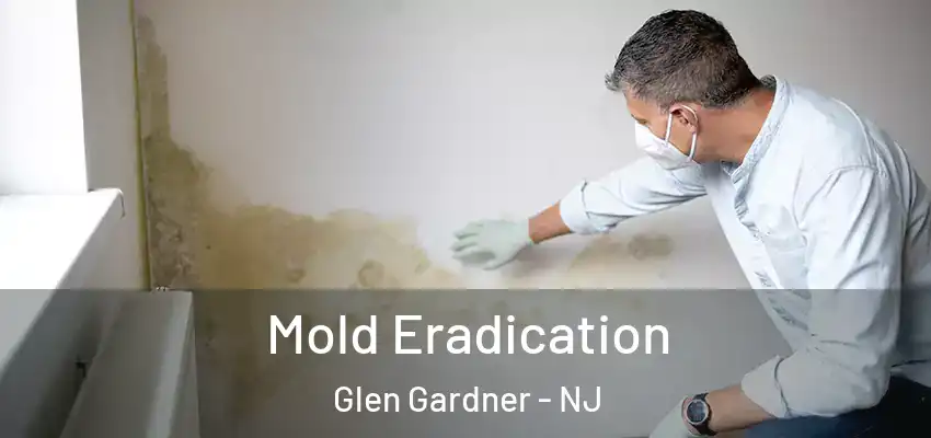 Mold Eradication Glen Gardner - NJ