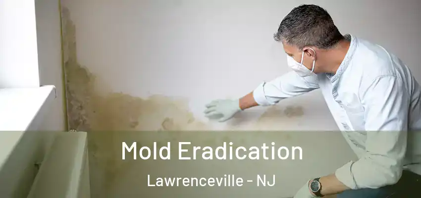  Mold Eradication Lawrenceville - NJ