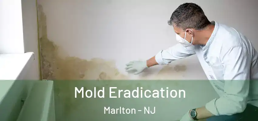  Mold Eradication Marlton - NJ