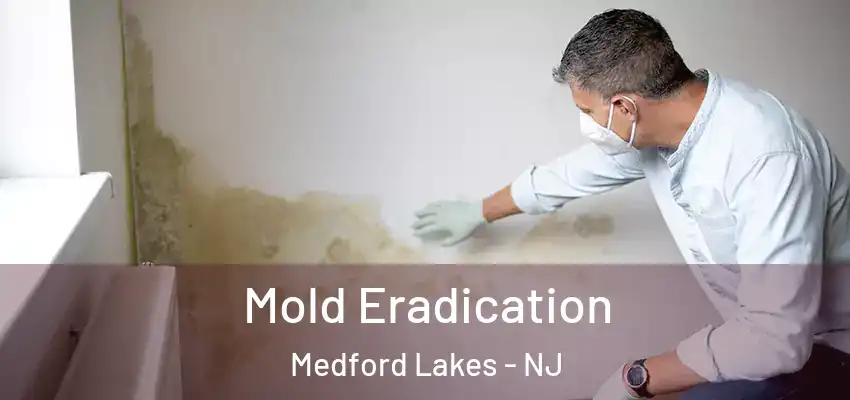 Mold Eradication Medford Lakes - NJ