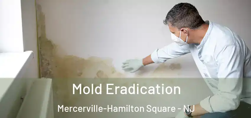 Mold Eradication Mercerville-Hamilton Square - NJ