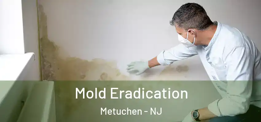 Mold Eradication Metuchen - NJ