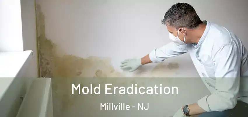  Mold Eradication Millville - NJ