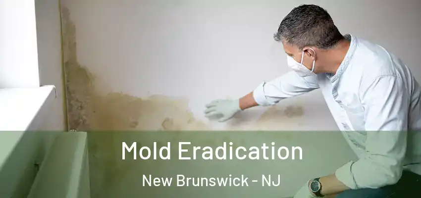 Mold Eradication New Brunswick - NJ
