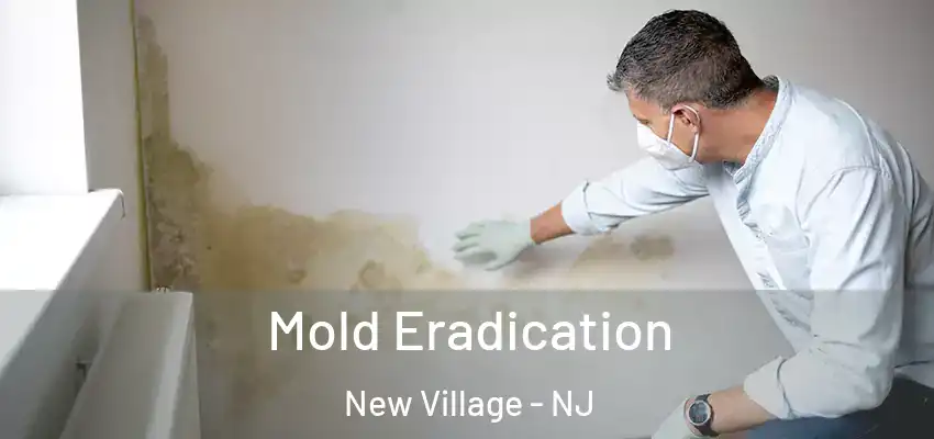 Mold Eradication New Village - NJ