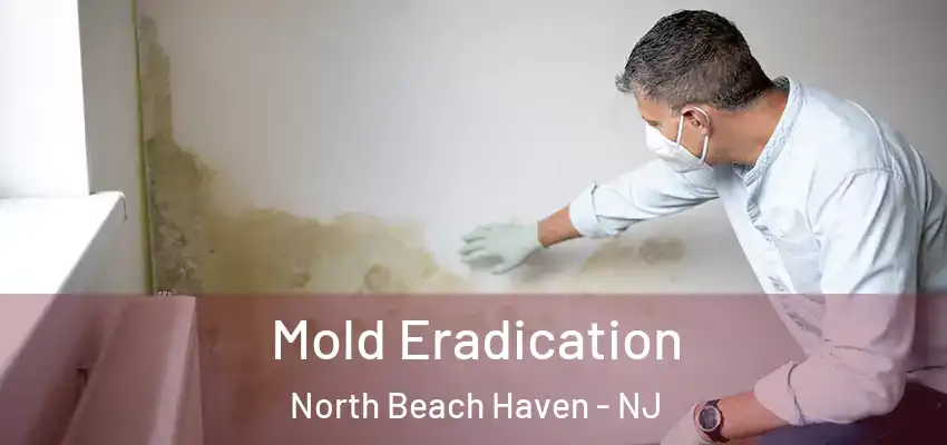 Mold Eradication North Beach Haven - NJ