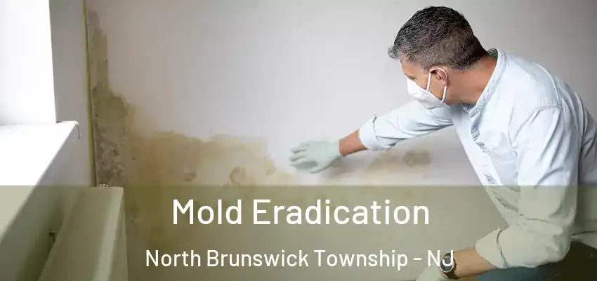 Mold Eradication North Brunswick Township - NJ
