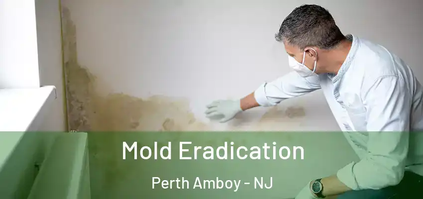  Mold Eradication Perth Amboy - NJ